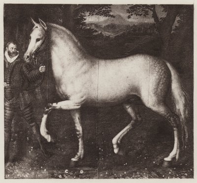 Kuningatar Elisabetin hevonen (litho) tekijältä European School