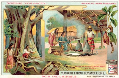 Kumipuu (chromolitho) tekijältä European School