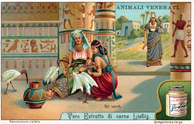 Pyhä ibis muinaisessa Egyptissä (chromolitho) tekijältä European School
