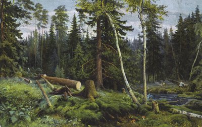 Kohtaus metsässä, jossa on kaadettuja puita (värilitro) tekijältä European School