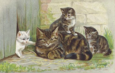 Tabby-kissa ja kolme pentua (chromolitho) tekijältä European School