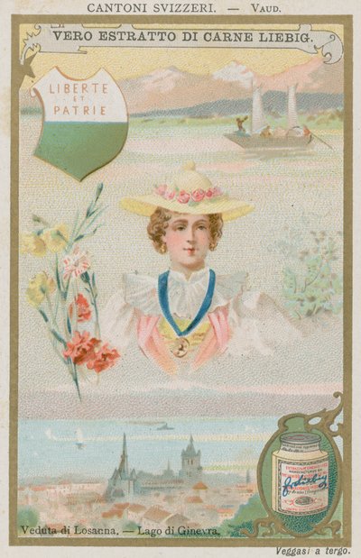 Vaud tekijältä European School