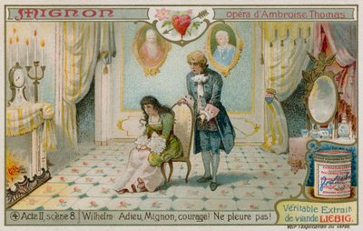Wilhelm ja Mignon tekijältä European School