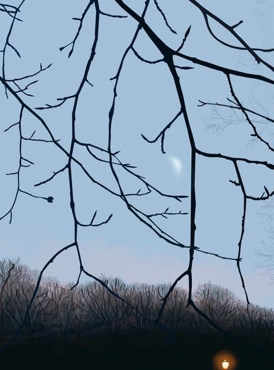 Oksat, aamunkoitto, Prospect Park (digitaalista taidetta) tekijältä Evan Sklar