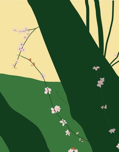 Cherry Blossoms, 2015 (käsin piirretty iPadilla Apple-kynällä). tekijältä Evan Sklar