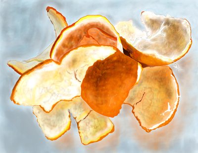 Clementine kuoriutuu tekijältä Evan Sklar
