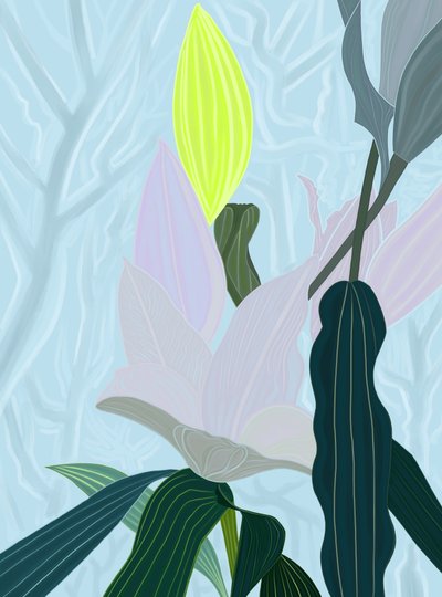 Lily (digitaalista taidetta) tekijältä Evan Sklar