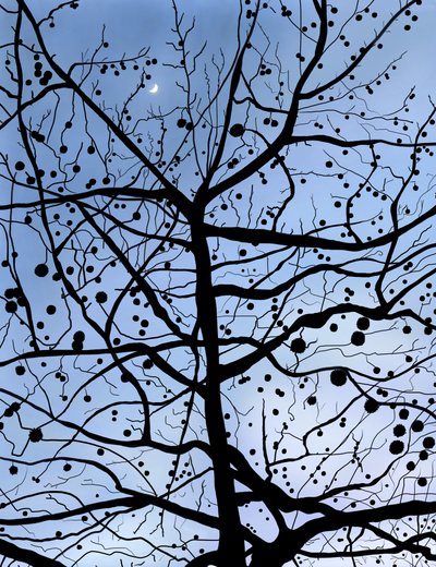 London PlaneTree ja Moon, Brooklyn (digitaalista taidetta) tekijältä Evan Sklar