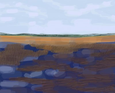 Low Country, 2016 (käsin piirretty iPadilla Applen kynällä). tekijältä Evan Sklar