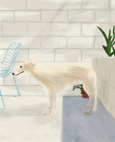 Penny On The Back Porch 2017 (käsin piirretty iPadilla Apple-kynällä) tekijältä Evan Sklar
