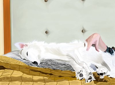 Penny On Yellow Comforter, Brooklyn (digitaalista taidetta) tekijältä Evan Sklar
