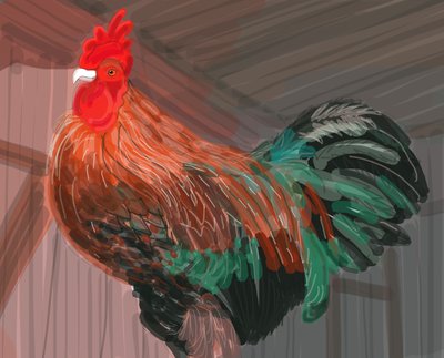 Rooster In Barn, 2018 (käsin piirretty iPadilla Apple-kynällä). tekijältä Evan Sklar