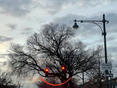 Hymyilevä puu ja liikennevalot. Brooklyn (digitaalista taidetta) tekijältä Evan Sklar
