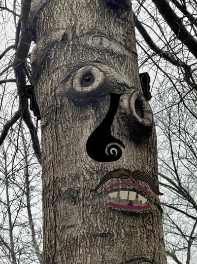 Tree Face , n.2020-24 (digitaalista taidetta) tekijältä Evan Sklar