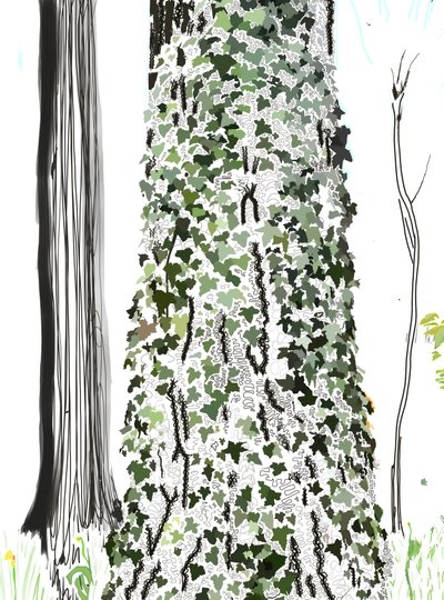 Tree With Ivy (digitaalista taidetta) tekijältä Evan Sklar