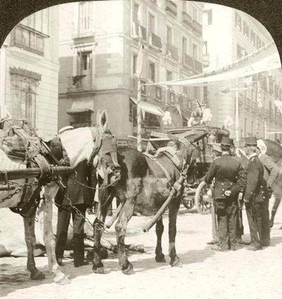 Valmentaja, Calle Mayor, Madrid. tekijältä Excelsior Stereoscopic Tours