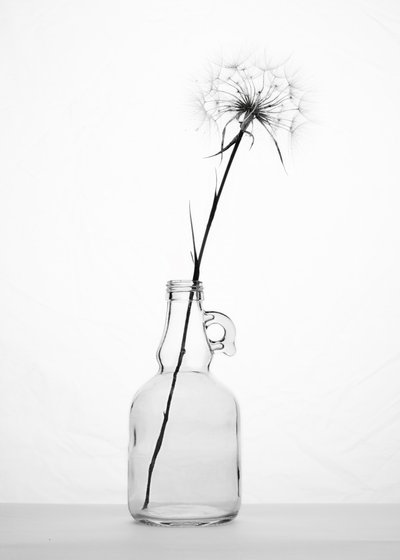 Hienovarainen voikukka-asetelma tekijältä Eyal Amer