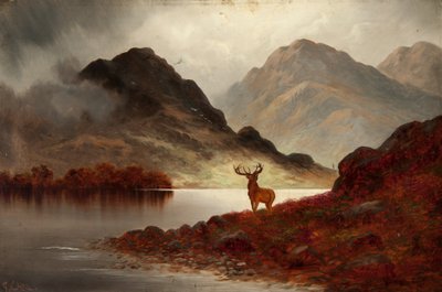 Stag at Bay (öljy kankaalle) tekijältä F. Carl
