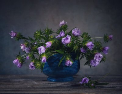 Asetelma laventelinvärisistä ohdakkeista tekijältä Fangping Zhou