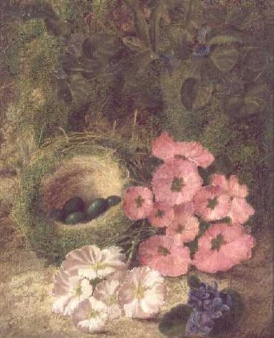 Kevät (pesä koiraruusuilla) tekijältä Fanny Jane Bayfield