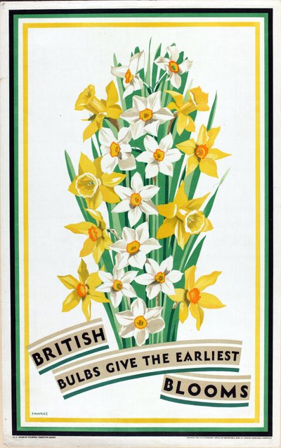Brittiläiset sipulit kukkivat aikaisintaan sarjasta "British Bulbs for Home Gardens" (värilitho) tekijältä Fawkes Fawkes