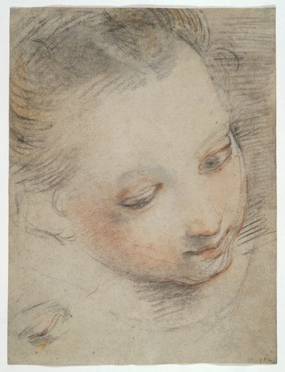 Tytön pää, tutki hahmoa Madonna del Popolon alttaritaulussa Uffizissa tekijältä Federico Barocci