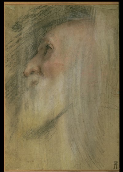 Vanhan miehen profiilipää, n. 1575-1579 (pastelli, musta liitu ja sangviini) tekijältä Federico Barocci