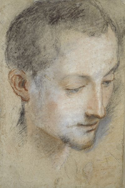Tutkimus nuoren miehen päästä (musta, punainen ja vaaleanpunainen liitu harmahtavalla paperilla) tekijältä Federico Barocci