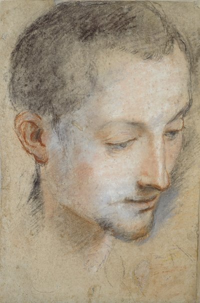 Tutkimus nuoren miehen päästä, 1500-luvun loppu tekijältä Federico Barocci