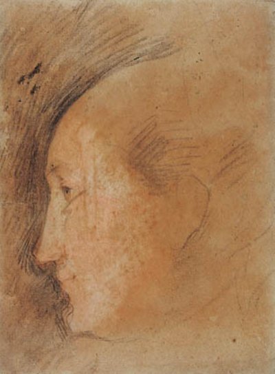 Naisen pää profiilissa vasemmalla tekijältä Federico Barocci