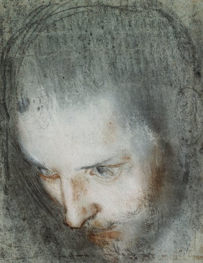 Pyhän Franciscuksen pää, joka katsoo ylöspäin vasemmalle, tekijältä Federico Fiori Barocci or Baroccio