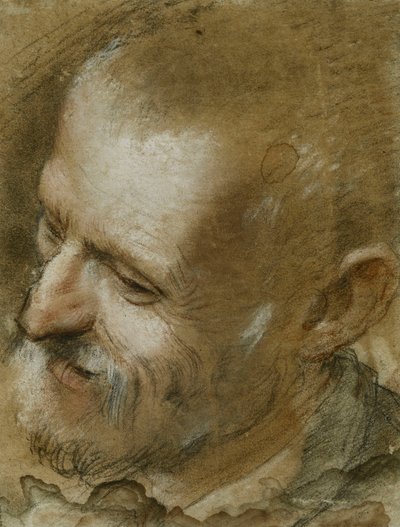 Tutkimus vasemmalle kääntyneen parrakkaan miehen päästä, 1590 tekijältä Federico Fiori Barocci or Baroccio