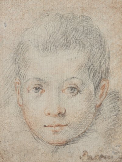  tekijältä Federico Zuccaro