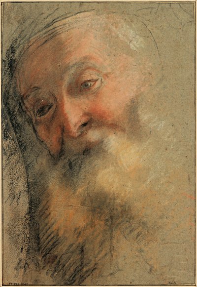 Vanhanpartaisen miehen pää, 1584-1586 tekijältä Federigo Barocci