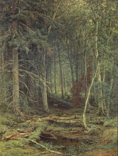 Suo metsässä, syksy, 1872 tekijältä Fedor Aleksandrovich Vasiliev