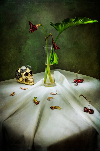 Gothic Skull Vanitas tekijältä Felice Angelino