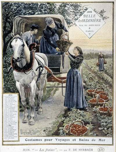 Mansikkapoiminta - kirjoittanut Myrbach, kalenteri "The Beautiful Planter", kesäkuu 1898 tekijältä Felicien baron de Myrbach-Rheinfeld