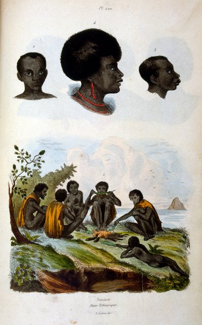 Etiopialaista rotua kuvaava antropologinen kuvitus. tekijältä Felix-Edouard Guerin