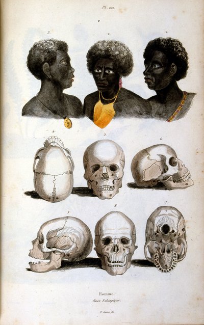 Etiopialaista rotua kuvaava antropologinen kuvitus. tekijältä Felix-Edouard Guerin