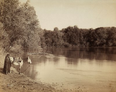 Mies perinteisessä asussa hevosensa kanssa Egyptin järven edessä tekijältä Félix Bonfils