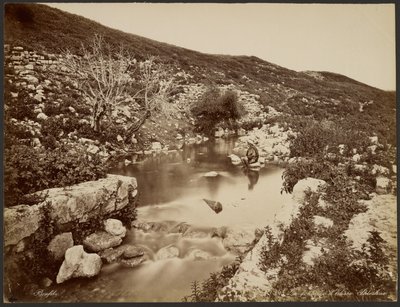 Elisan lähde, Palestiina tekijältä Félix Bonfils