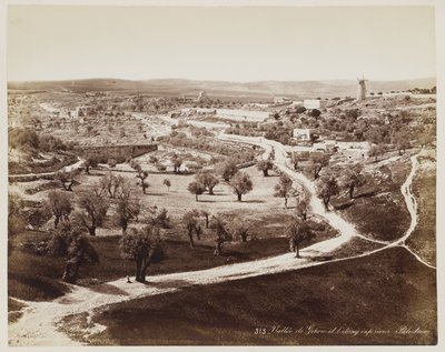 Valle De ... Palestiina #313 tekijältä Félix Bonfils