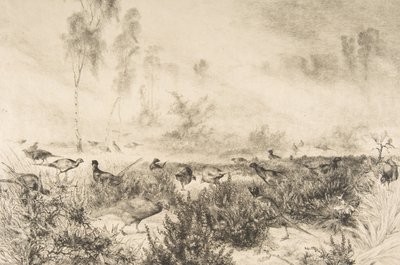 Aamun sumut, 1882. tekijältä Felix Bracquemond