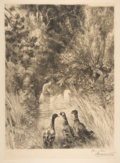 Yllättyneet ankat, 1882. tekijältä Felix Bracquemond
