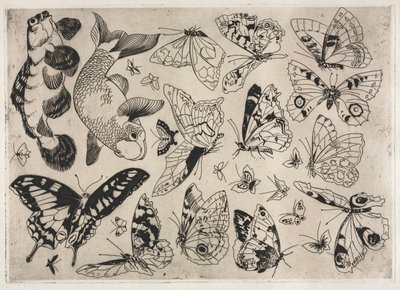 Illallispalvelu Rousseau-palvelu: Perhoset ja kalat no. 16, 1866. tekijältä Felix Bracquemond