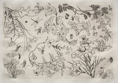 Illallispalvelu Rousseau-palvelu: Kukat no. 22, 1866. tekijältä Felix Bracquemond
