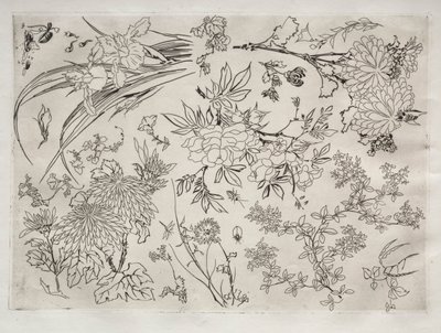 Illallispalvelu Rousseau-palvelu: Kukat no. 23, 1866. tekijältä Felix Bracquemond