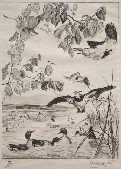 Lapwings ja Teals tekijältä Felix Bracquemond