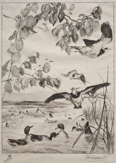 Lapwings and Teals, 1862. tekijältä Felix Bracquemond