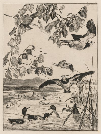 Lapwings and Teals, 1862. tekijältä Felix Bracquemond